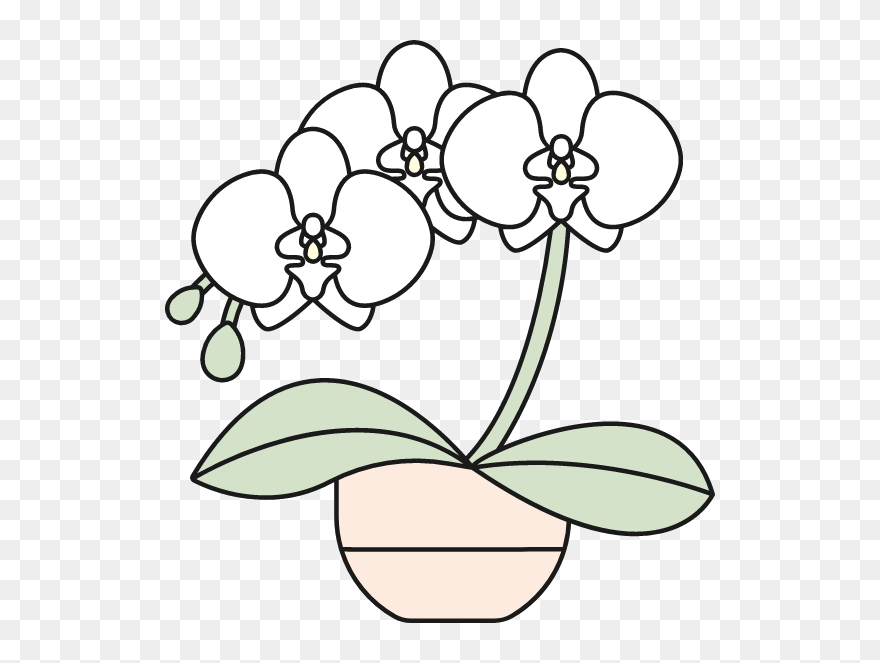 Clip Art - Png Download