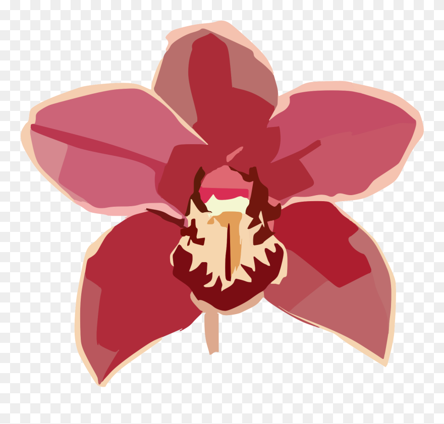 Clipart Red Orchid Flower - Png Download