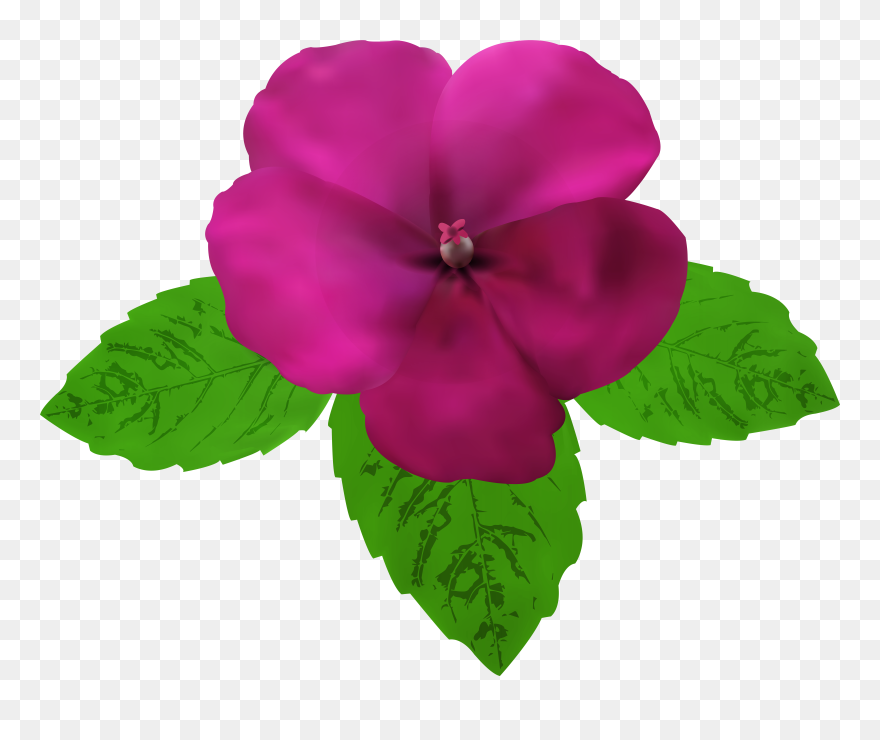 Magenta Flower Clipart Clip Art Royalty Free Download - Png Download