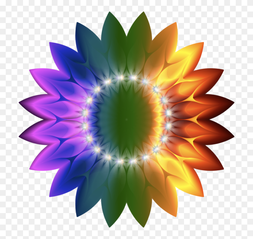 Plant,flower,sunflower - Dr Mattress Beds Prices Clipart