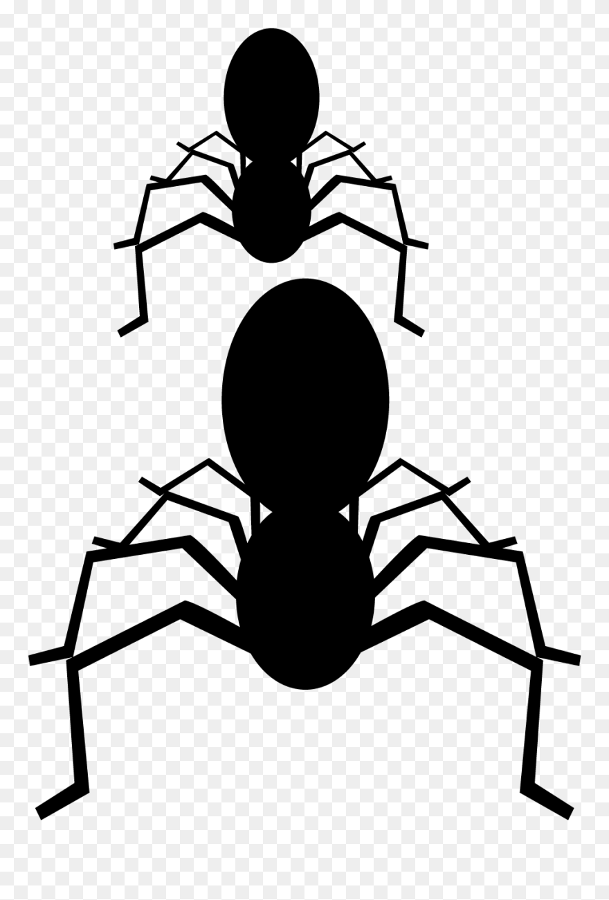 Spider Black And White Clip Art - Silhouette - Png Download