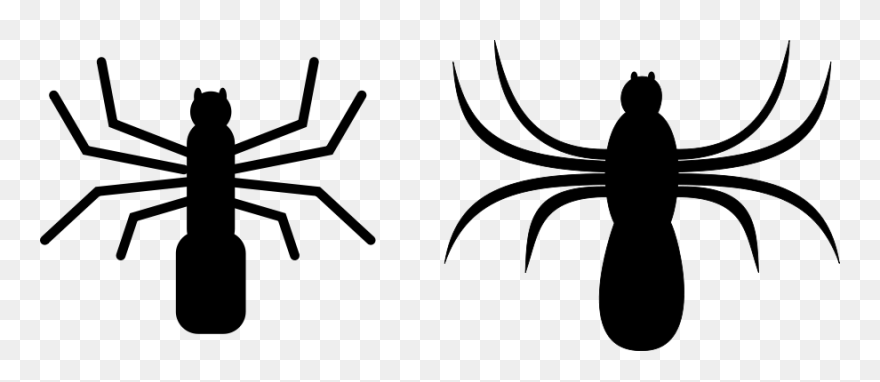 Spider Aranya Svg Clip Arts - Spiders Clip Art - Png Download