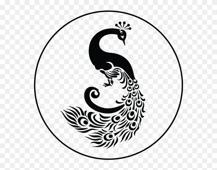 Peacock Struthers Website-07 - Illustration Clipart