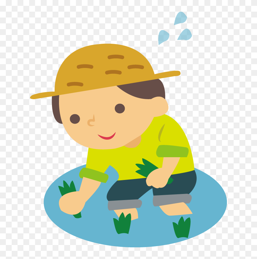 Rice Can Also Be Grown In A Bucket Or Planter At Home - Planting Rice Clipart - Png Download