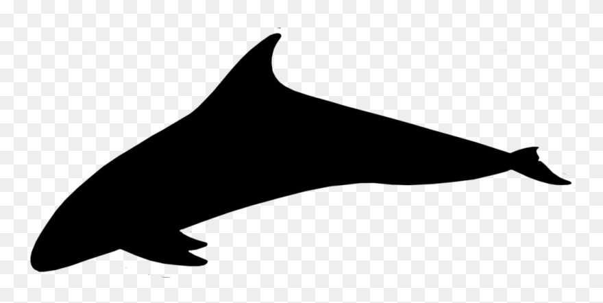 Dolphin Porpoise Clip Art Silhouette Line - Cetacea - Png Download