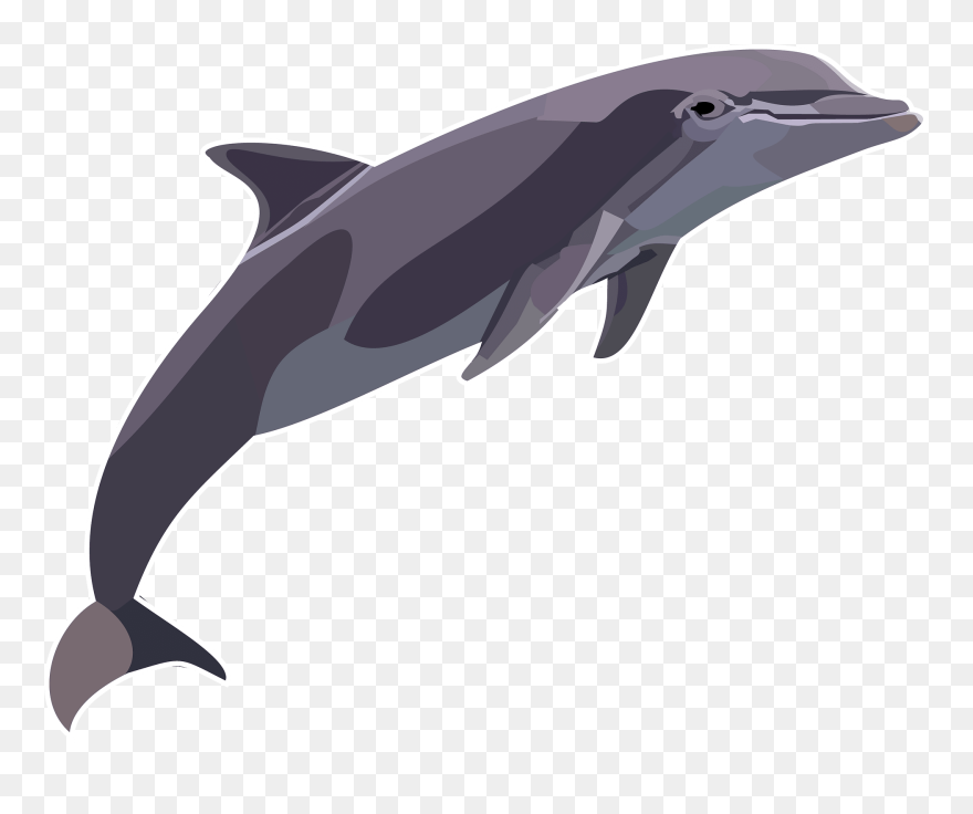 Wholphin Clipart