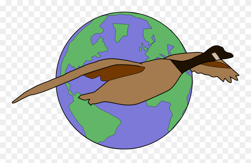 Science Clipart