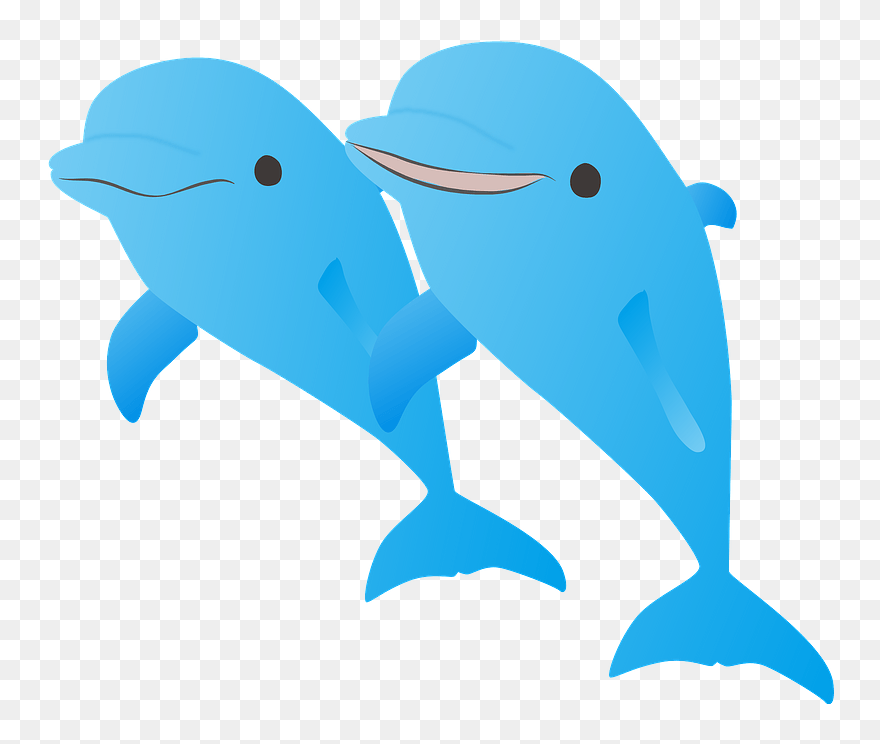 Dolphins Animal Clipart - 著作 権 フリー イルカ - Png Download