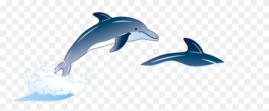 Porpoise Drawing Blue Dolphin Transparent Png Clipart - Dolphin Illustration Png