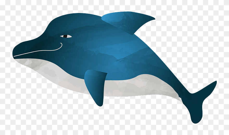 Dolphin Clipart - Common Bottlenose Dolphin - Png Download