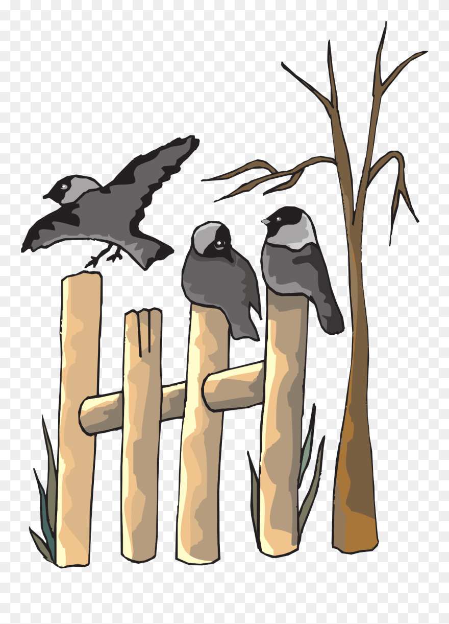 Clip Art - Png Download