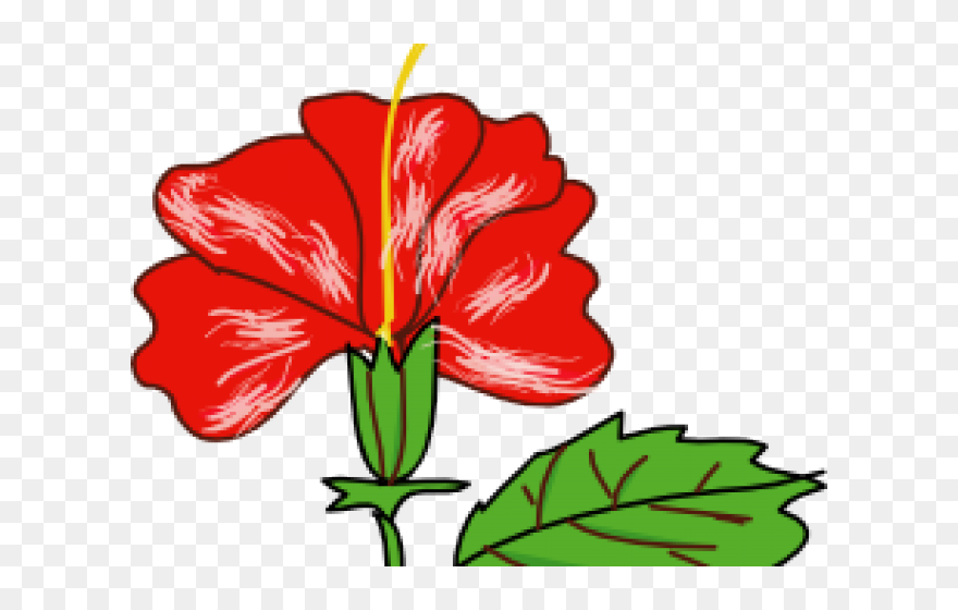 Gumamela Clipart Black And White - Png Download