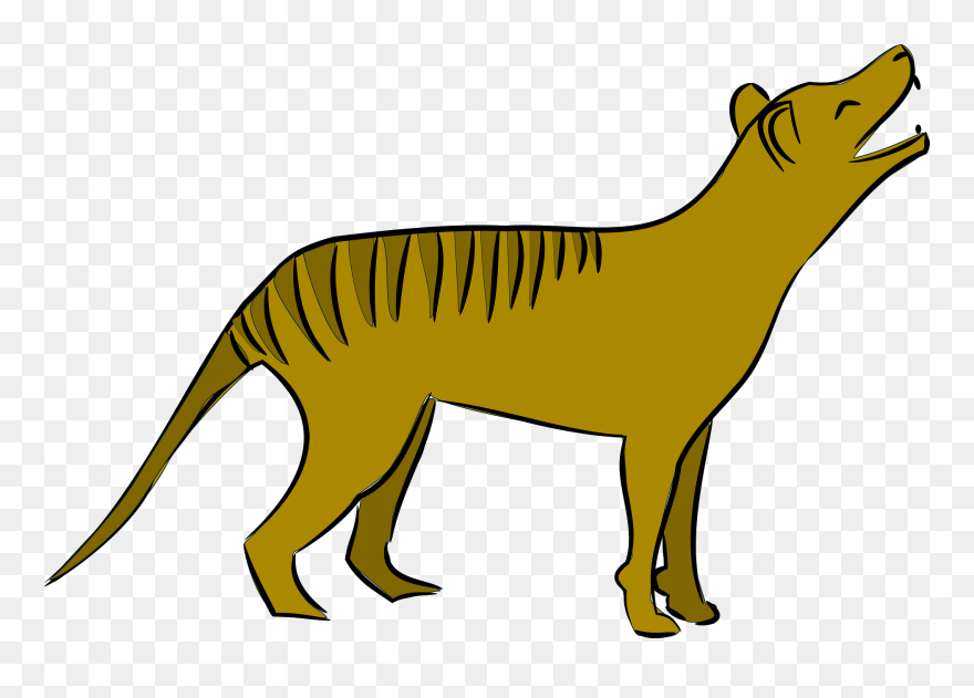 Thylacine Clipart - Thylacine - Png Download