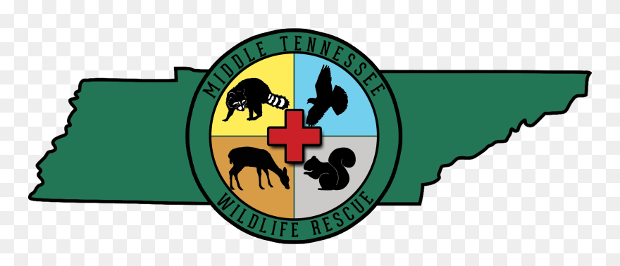 Middle Tennessee Wildlife Rescue - Wildlife Rescue Logos Clipart