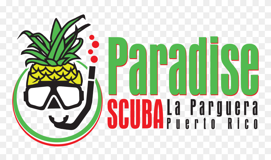 Paradise Scuba & Snorkeling Center Clipart