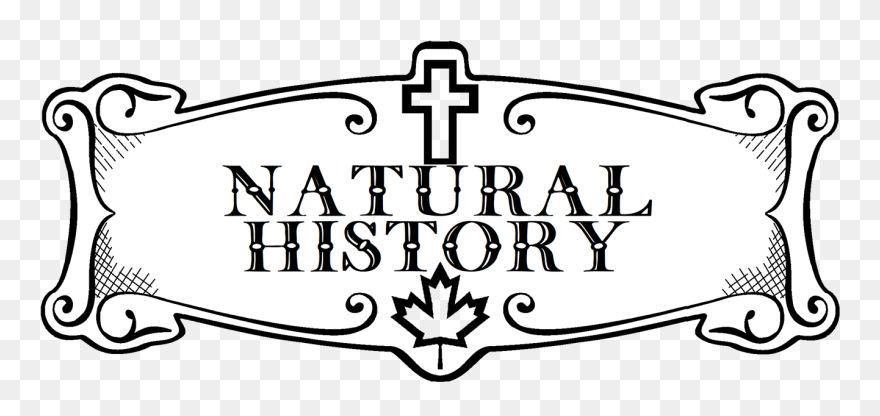 Picture - Illustration Clipart