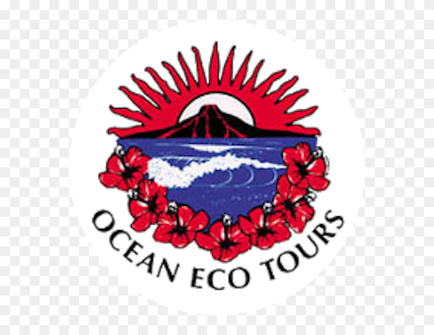 Ocean Eco Tours Clipart