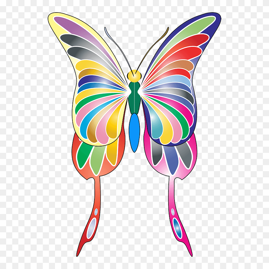 Colourful Butterfly Clipart - Butterflies - Png Download