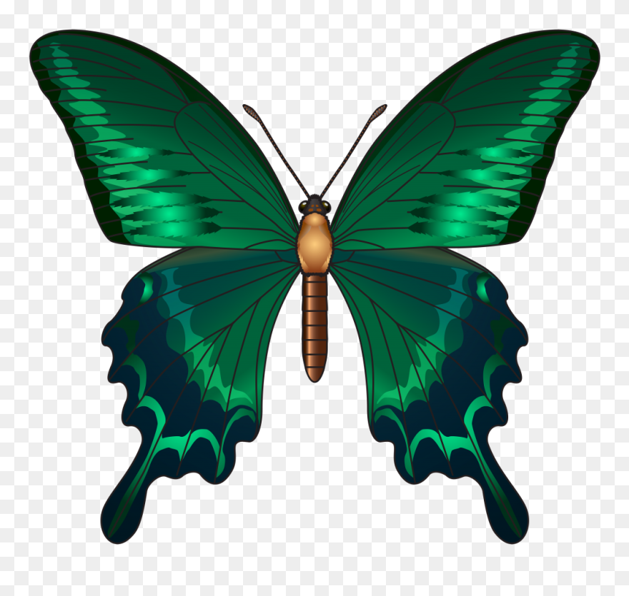 Butterfly Clip Art Green - Png Download