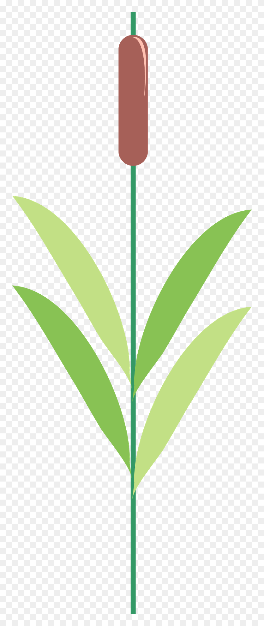 Sapos Minus Applique Pinterest - Illustration Clipart