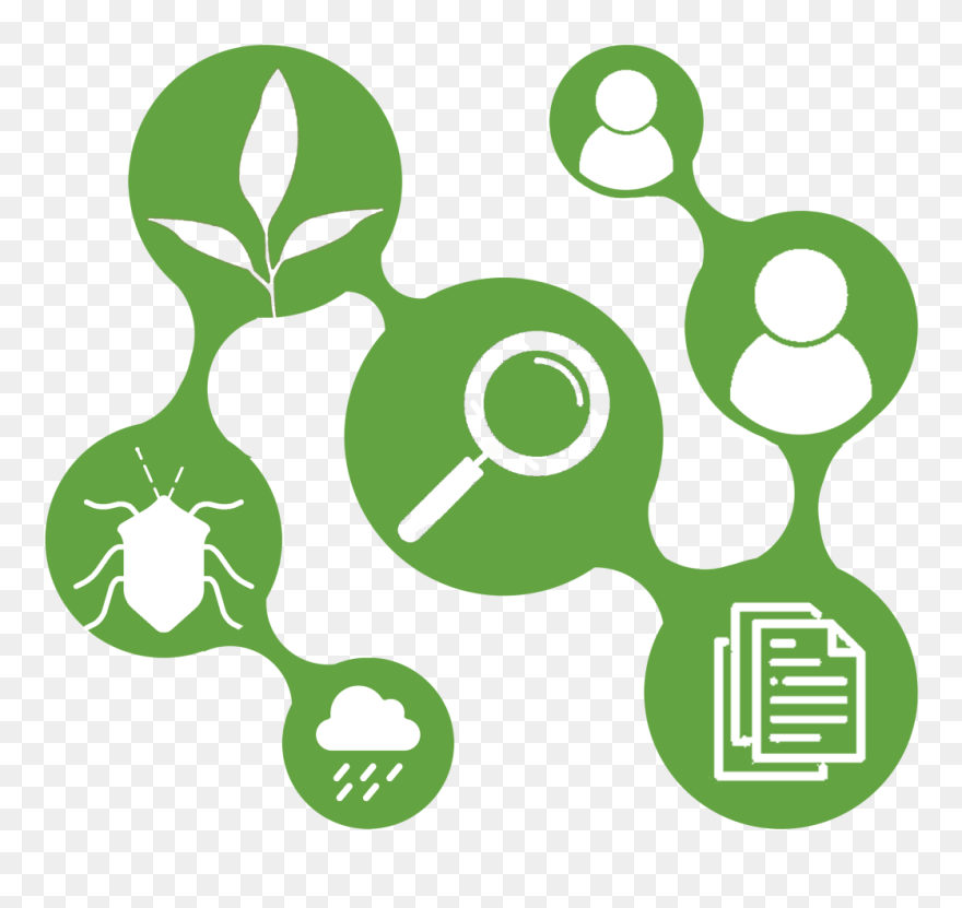 Clip Art - Png Download