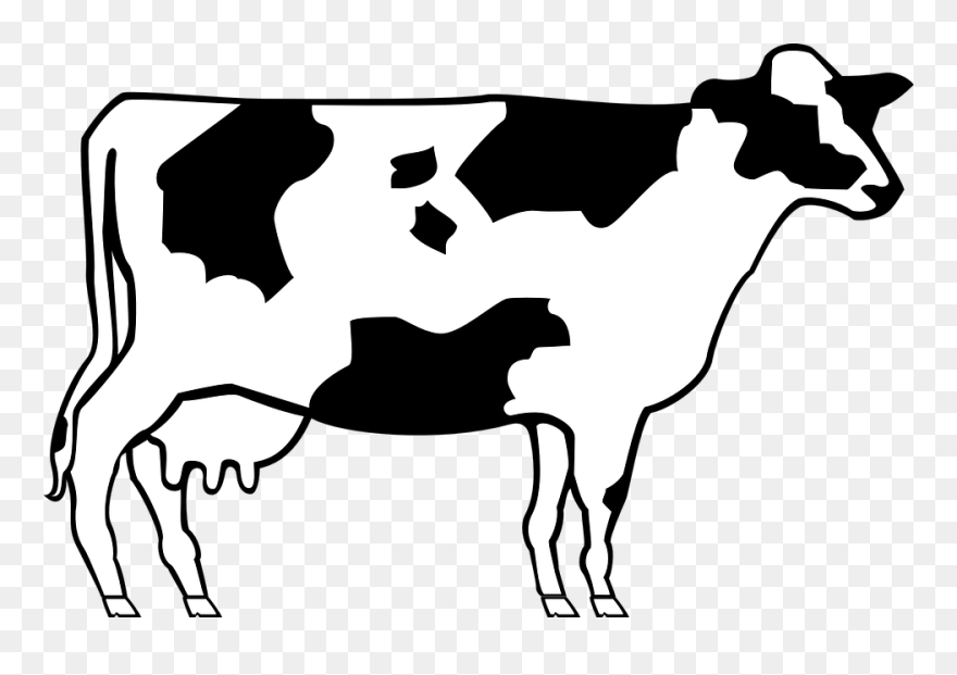 Cows Clipart Outline, Cows Outline Transparent Free - Cow Clip Art - Png Download
