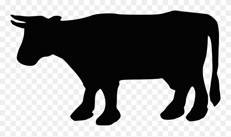 Angus Cattle Beef Cattle Silhouette Clip Art - Cow Silhouette - Png Download
