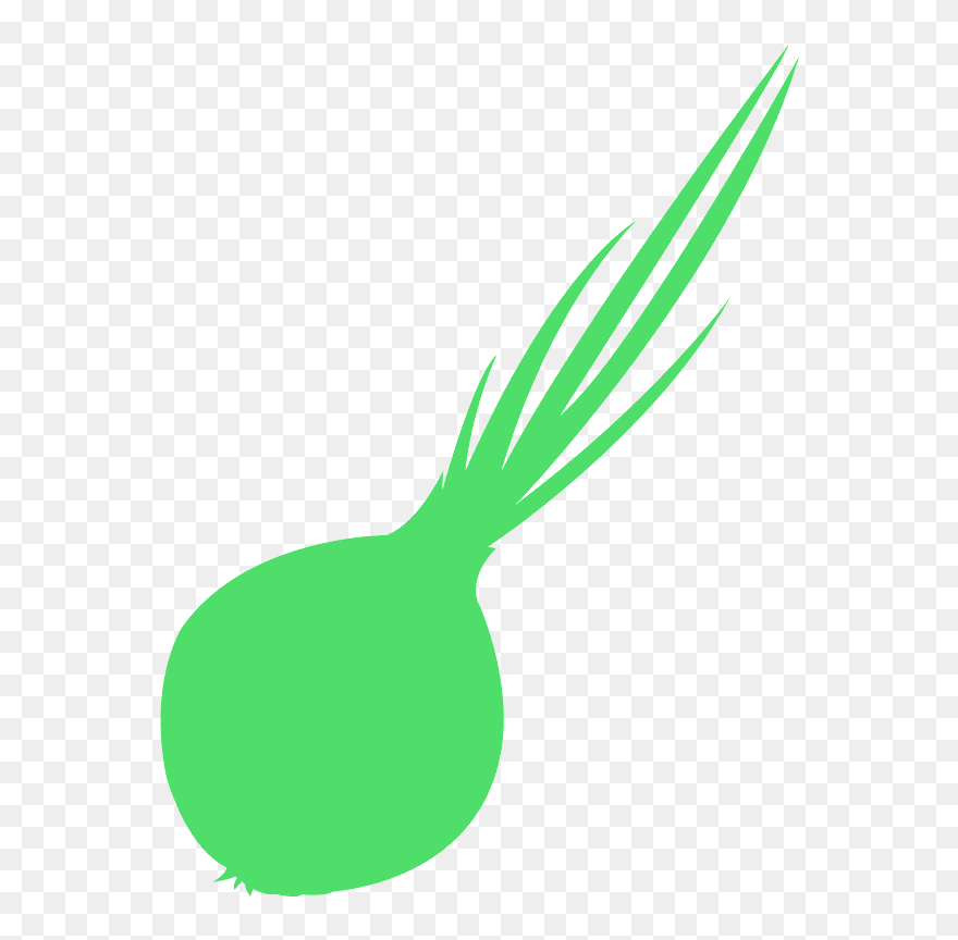 Welsh Onion Clipart