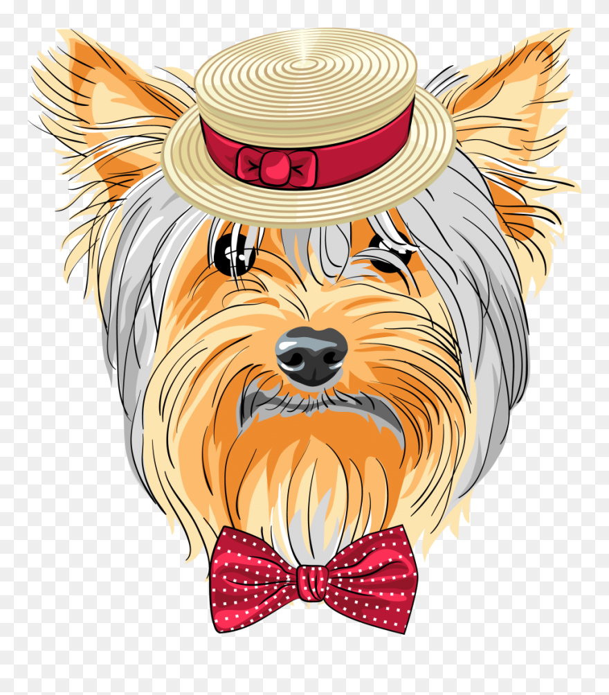 Puppy At Getdrawings Com - Yorkie Party Clipart - Png Download