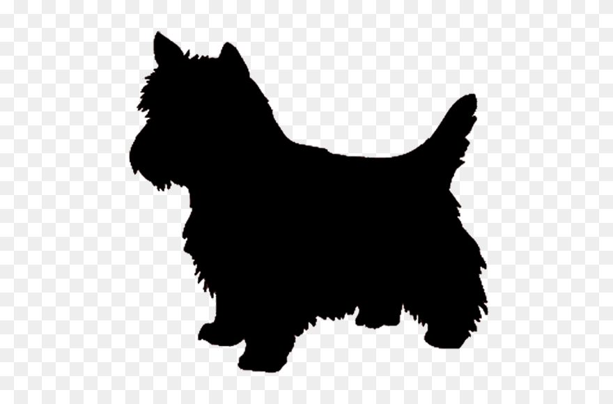 West Highland White Terrier Yorkshire Terrier Airedale - West Highland Terrier Silhouette Clipart