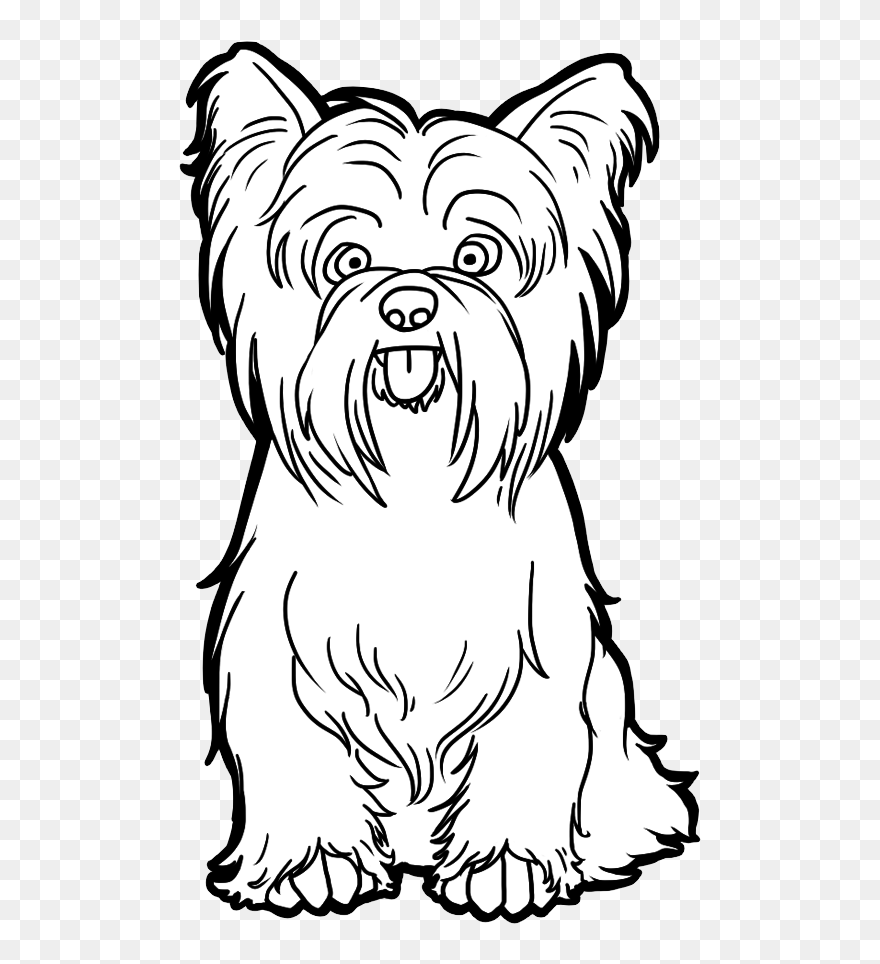 Dog Png Clipart - Yorkshire Terrier Drawing Easy Transparent Png