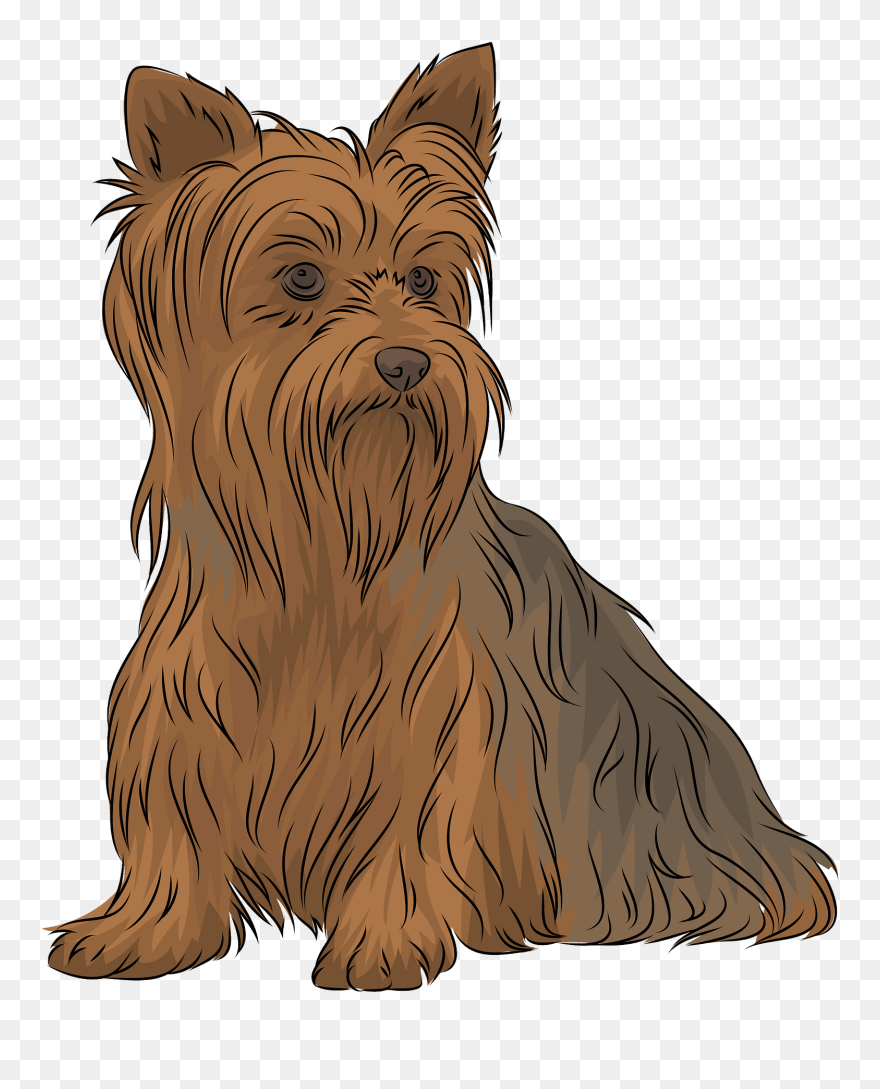 Terrier Clipart - Png Download