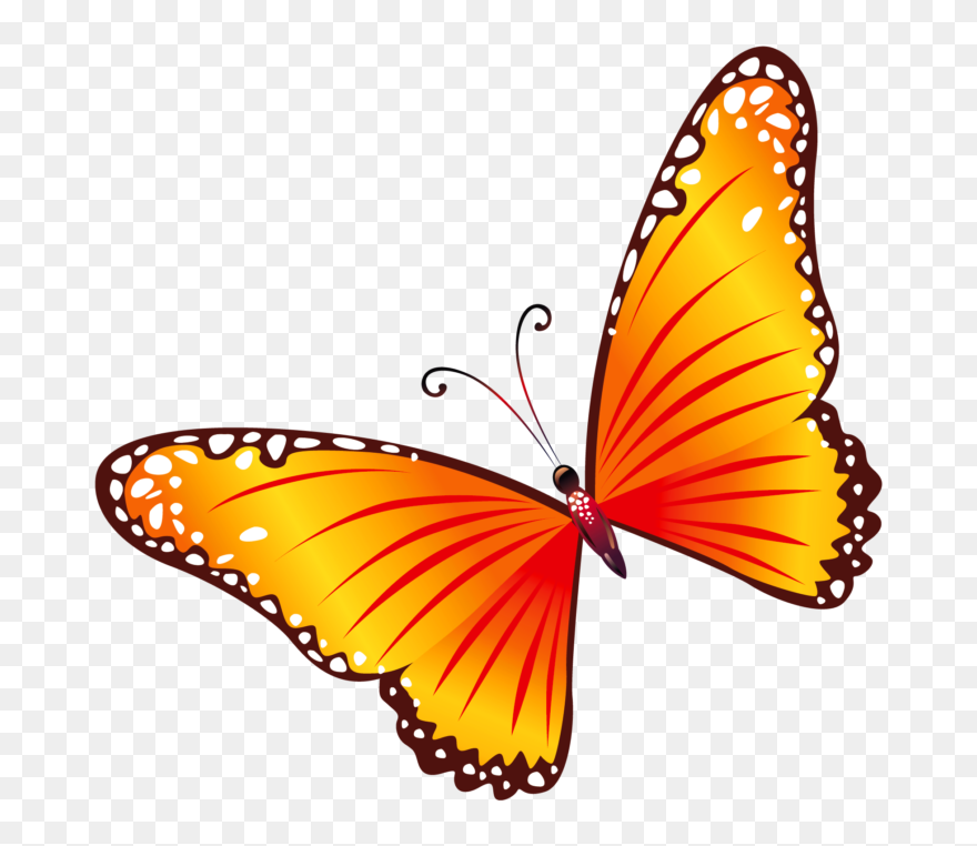 Butterfly Clipart Png Transparent