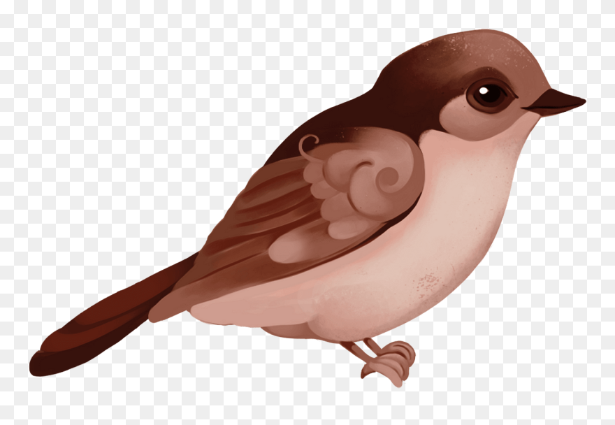 Free Download - Spatz Clipart - Png Download