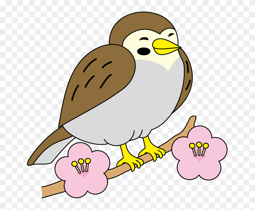 Sparrow Clip Art - Clip Art - Png Download