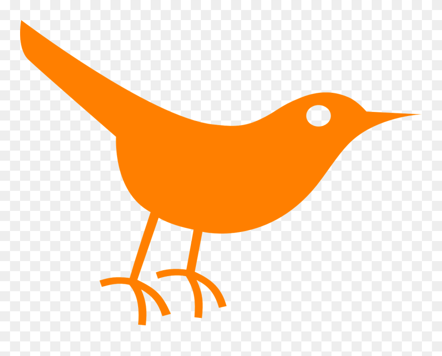Transparent Background Birds Icon Clipart