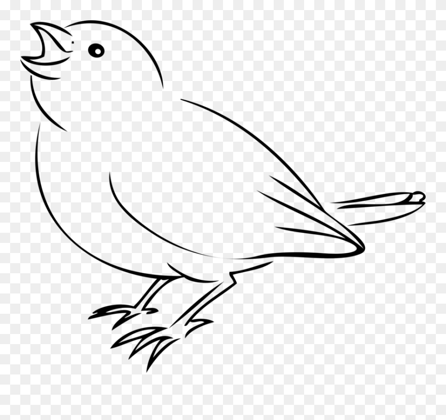 Line Art,wildlife,art - Dibujo De Un Ave Clipart
