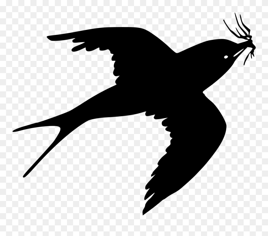 Sparrow Vector Clipart