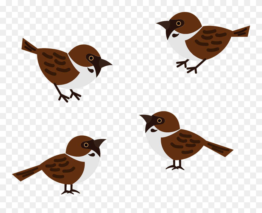 イラスト 雀 の 学校 Clipart