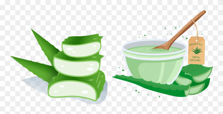 Aloe Vera Vecteur - Aloe Vera Ice Vector Clipart