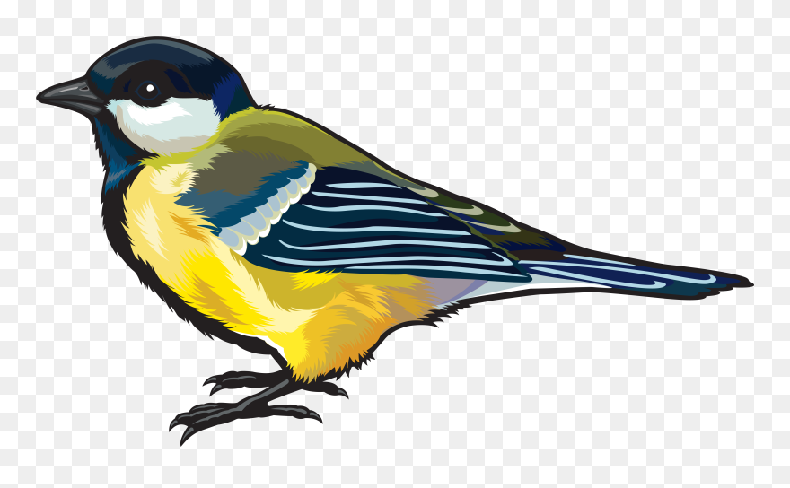 Free Bird Clipart Goldfinch - Bird Png Clipart Transparent Png
