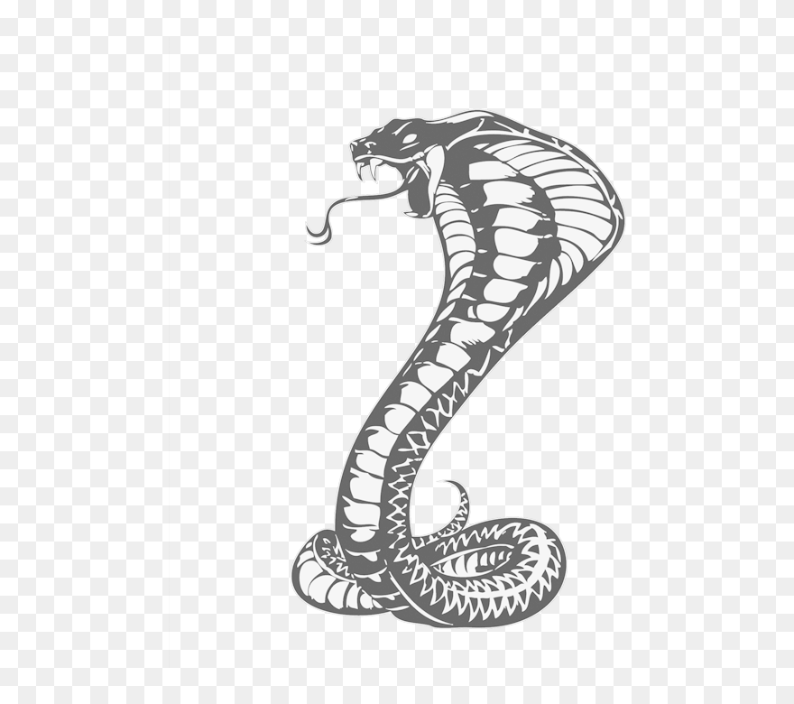 Download Cobras King Cobra Snakes Tattoo Snake Drawing - Khon Kaen United F.c. Clipart