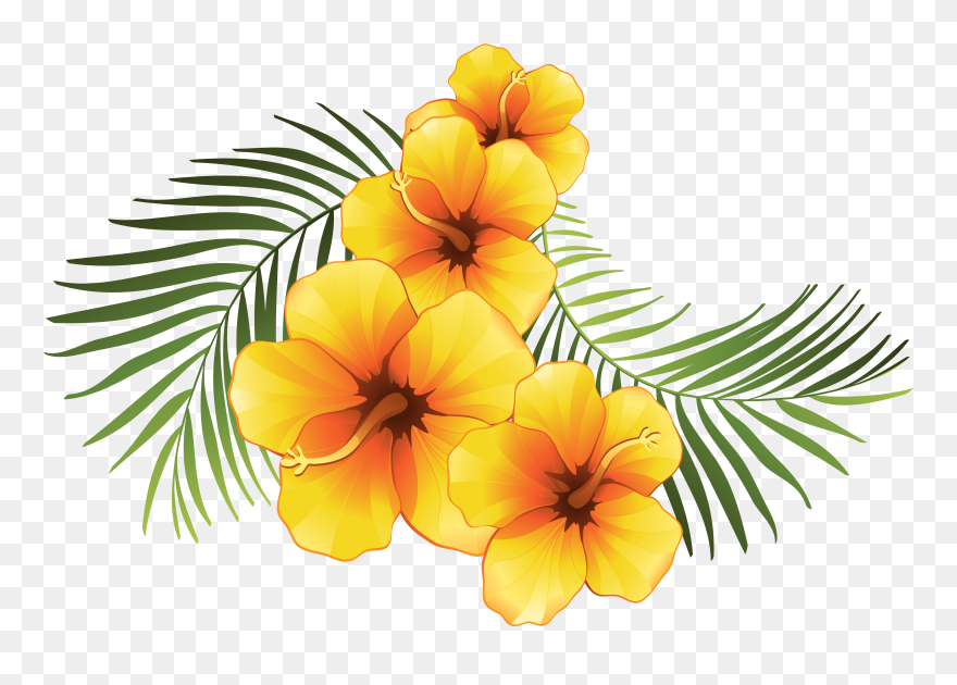 #flower #flowers #orang #caribbean #summer #beach #love - Plumeria Flowers Clip Art - Png Download