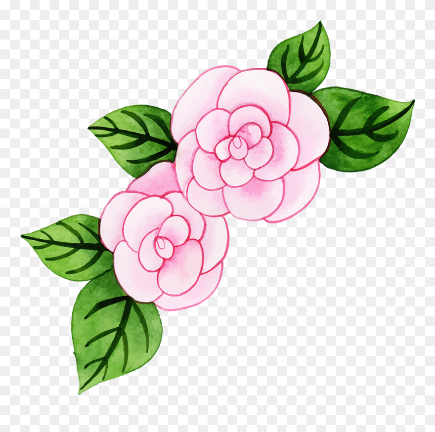 Garden Roses Clipart
