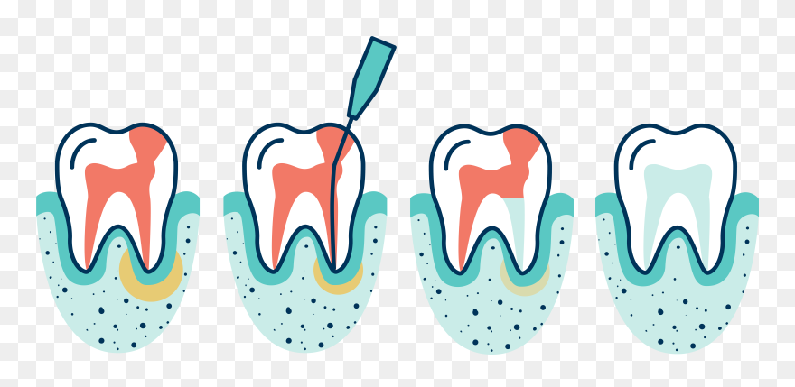 Root Clip Art - Png Download