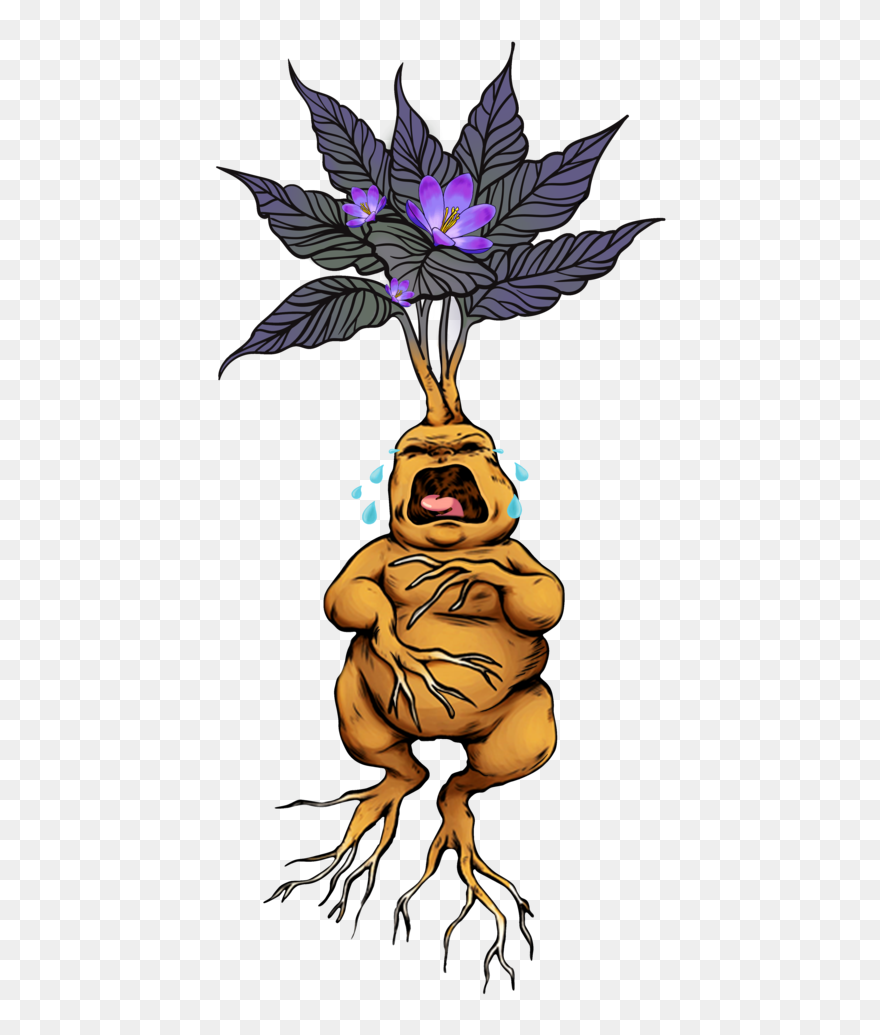 Stickers Mandrake Clipart
