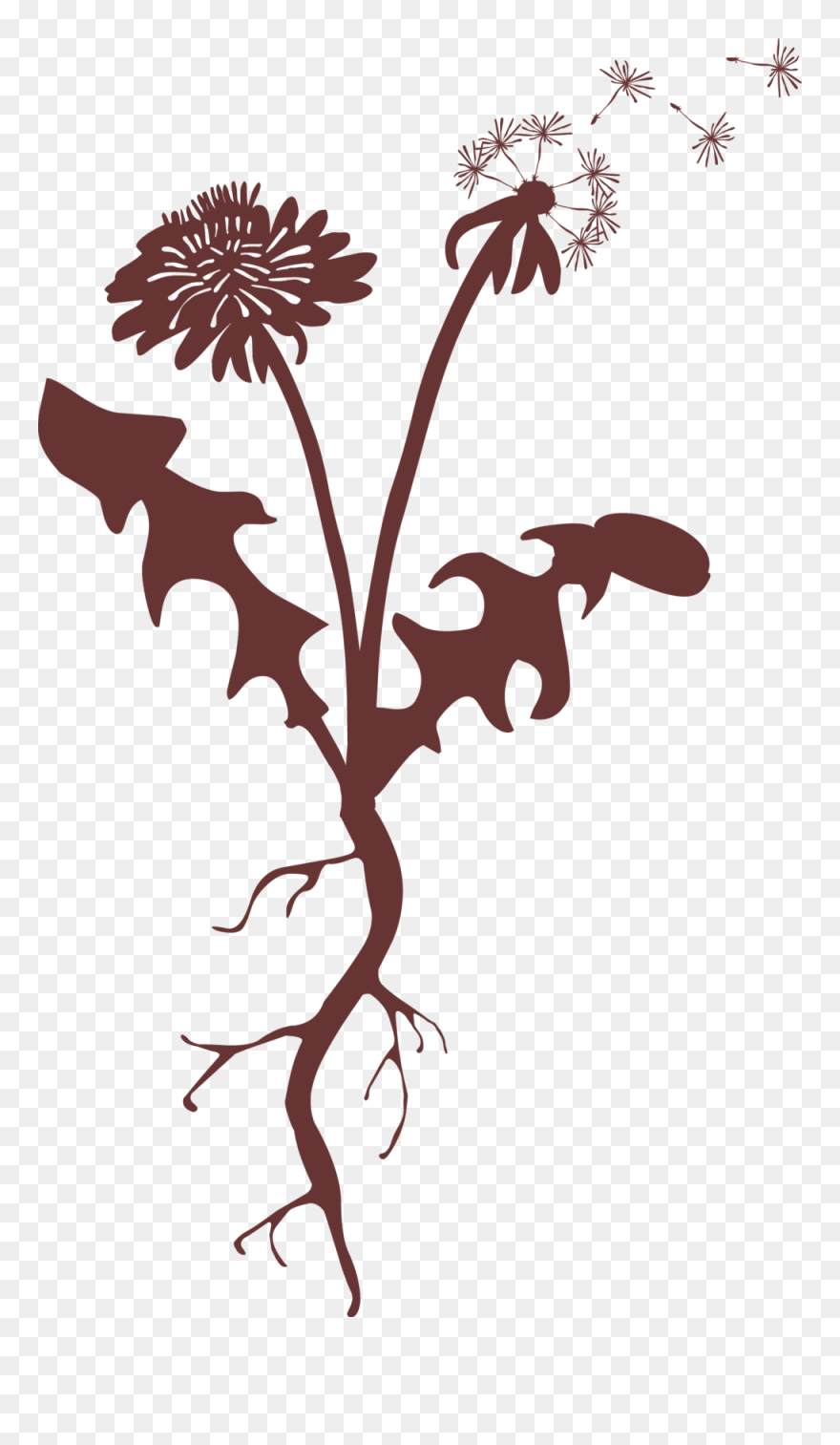 Taproot Image Clipart