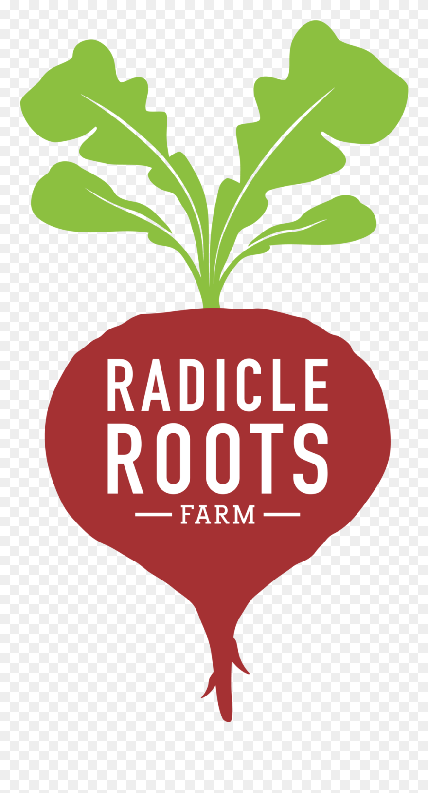 Root Clip Art - Png Download