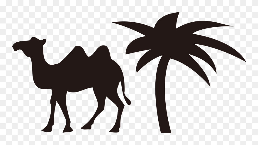 Bactrian Camel Cartoon Sticker Sidewalk Chalk - Camel Clipart