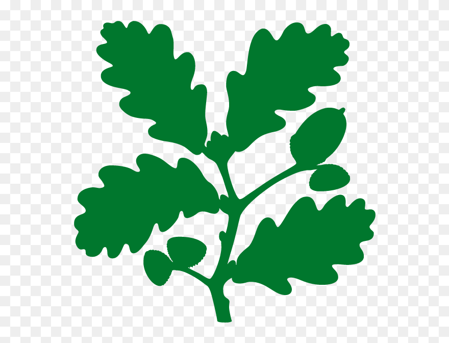 National Trust Logo - Not For Profit Organisations Uk Clipart